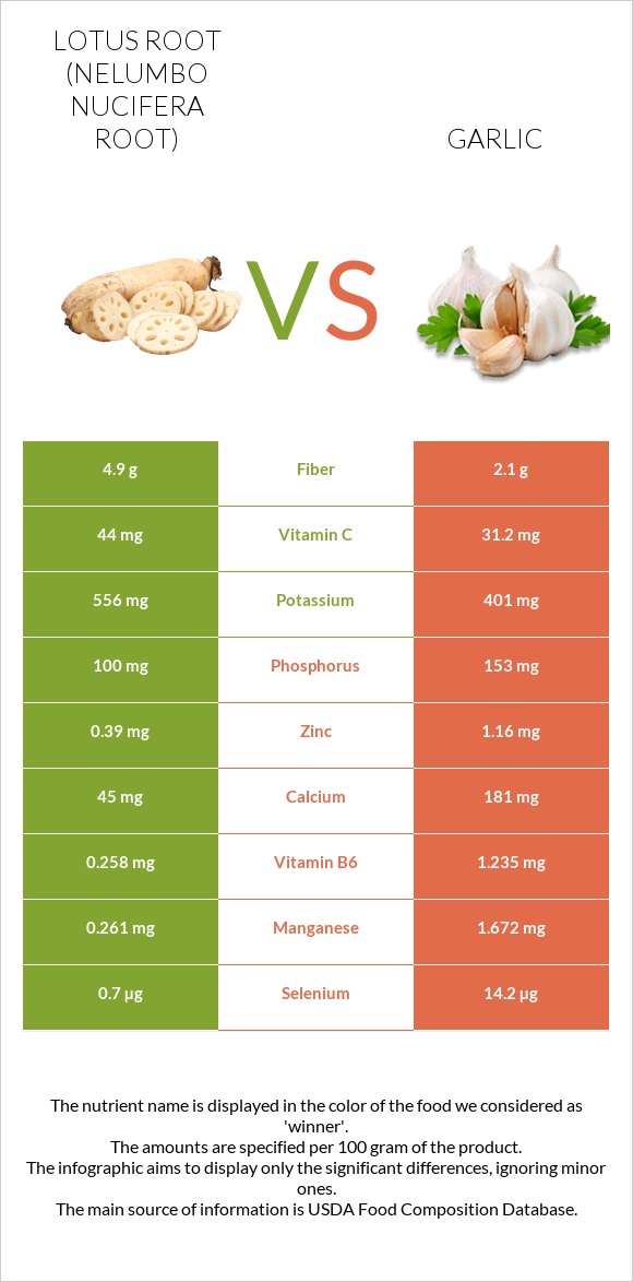 Lotus root vs Garlic infographic