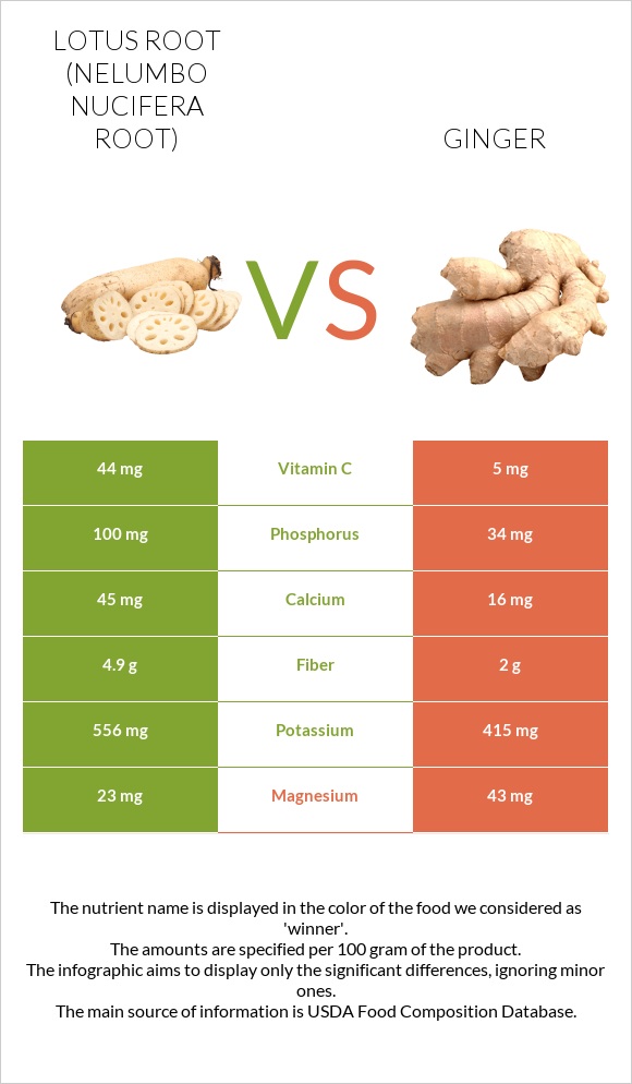Lotus root vs Ginger infographic
