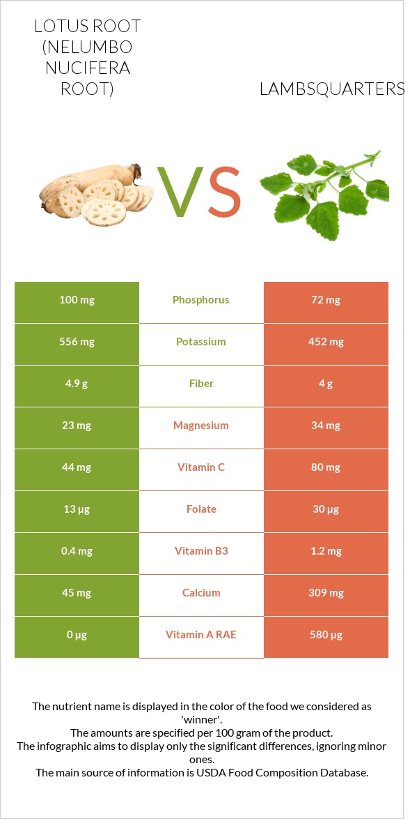 Lotus root vs Lambsquarters infographic