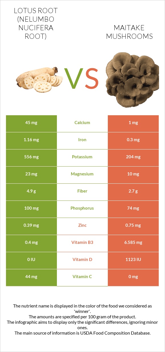 Lotus root vs Maitake mushrooms infographic