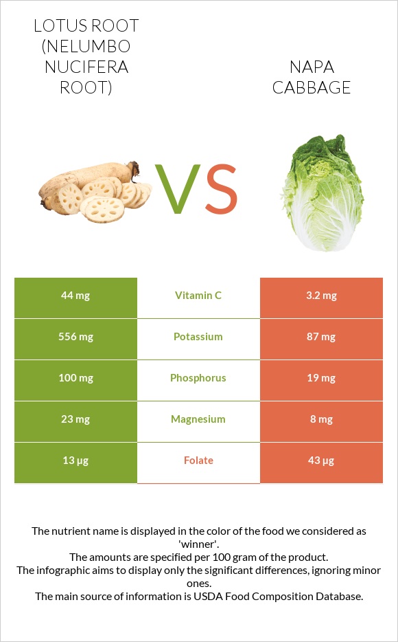 Lotus root vs Napa cabbage infographic