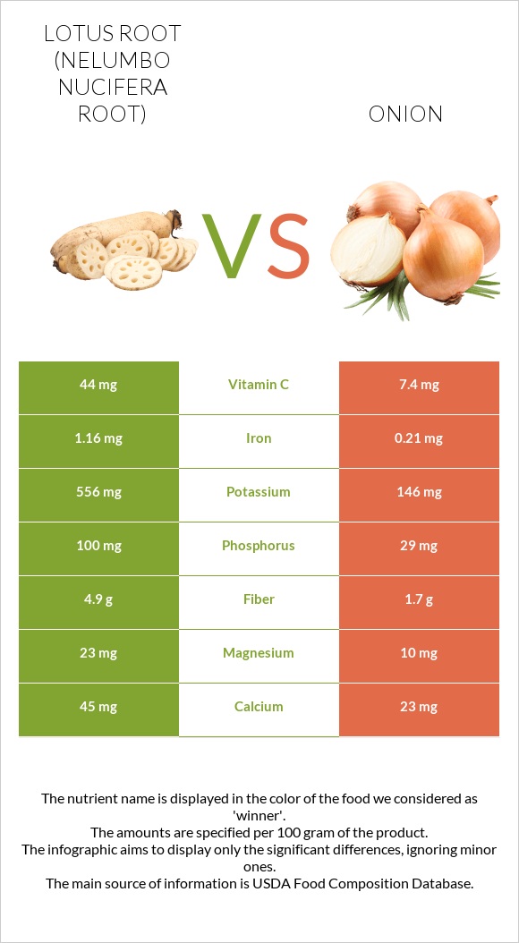 Lotus root vs Onion infographic