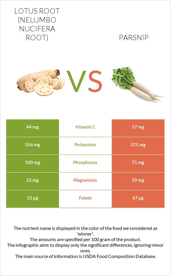 Լոտոս արմատ vs Վայրի գազար infographic