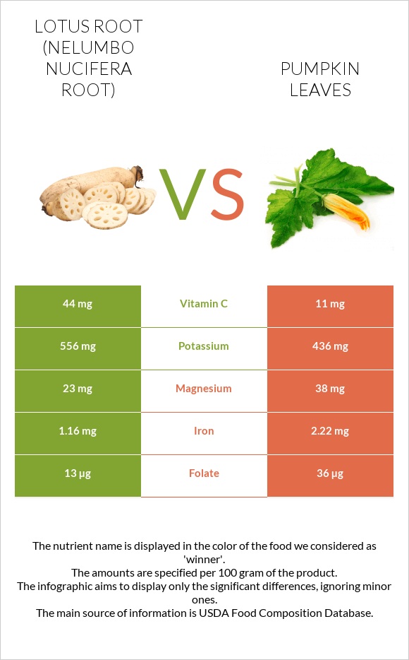Lotus root vs Pumpkin leaves infographic