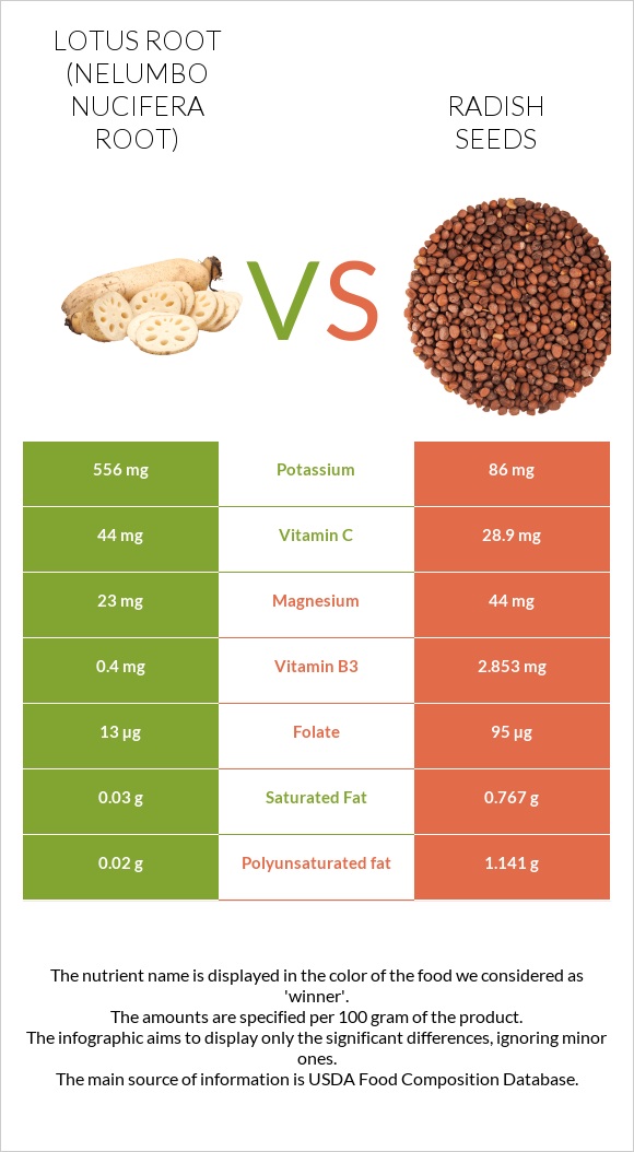 Լոտոս արմատ vs Radish seeds infographic