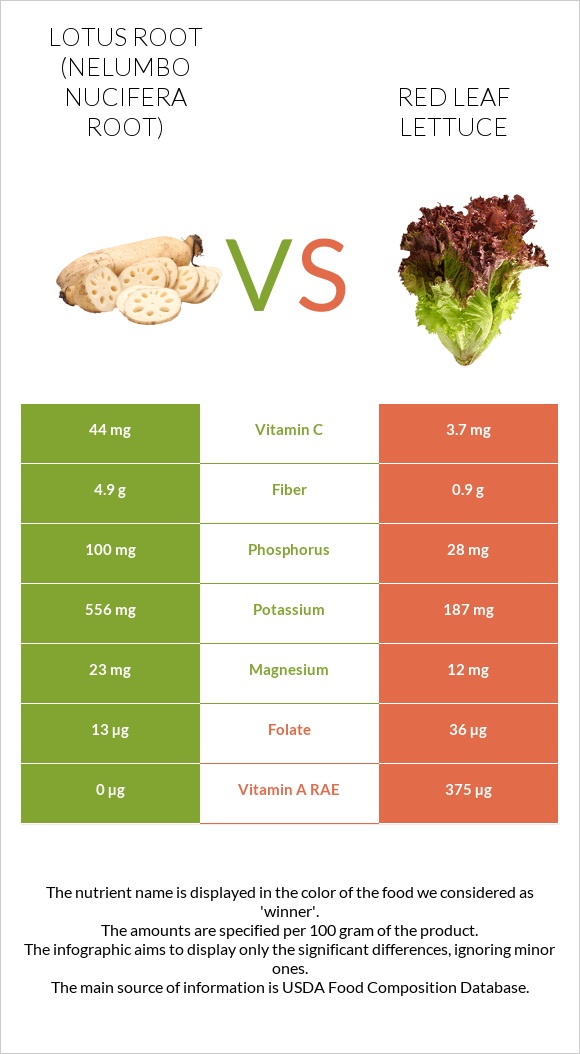 Լոտոս արմատ vs Red leaf lettuce infographic