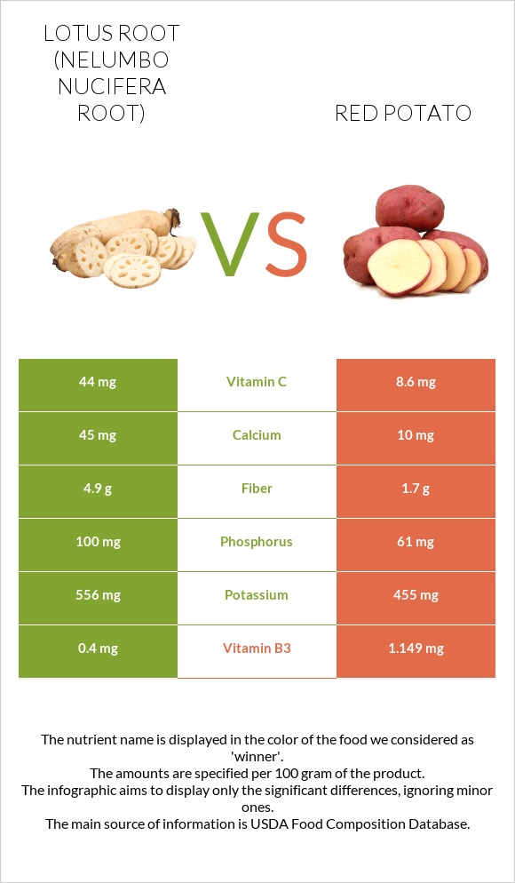 Լոտոս արմատ vs Red potato infographic