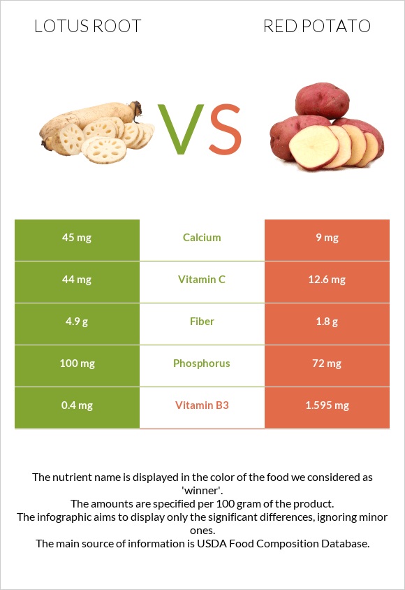 Լոտոս արմատ vs Red potato infographic