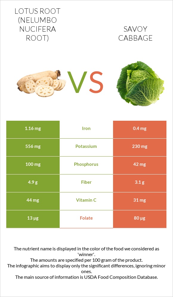 Lotus root vs Savoy cabbage infographic