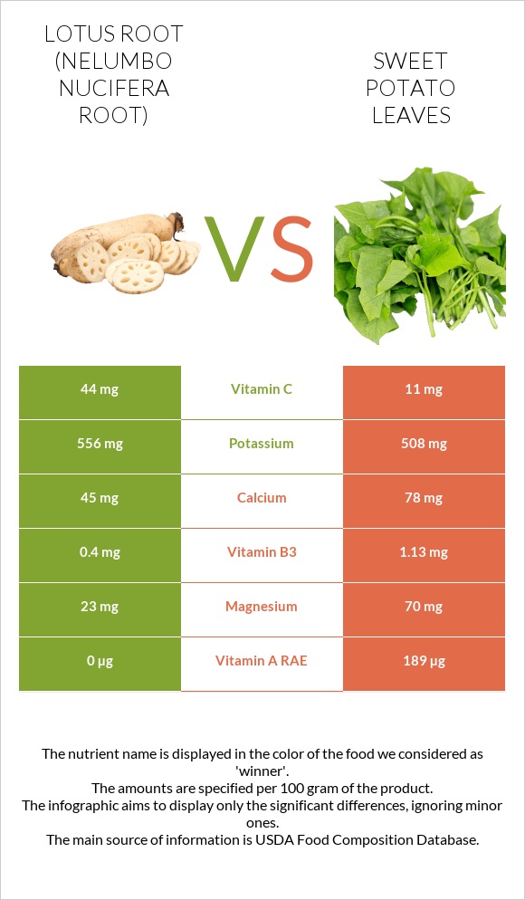 Լոտոս արմատ vs Sweet potato leaves infographic