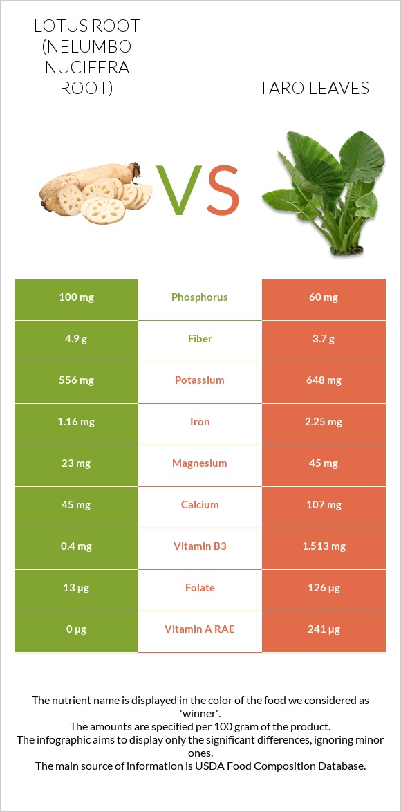 Լոտոս արմատ vs Taro leaves infographic