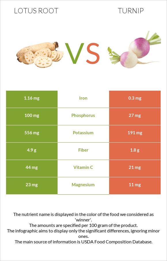 Lotus root vs Turnip infographic