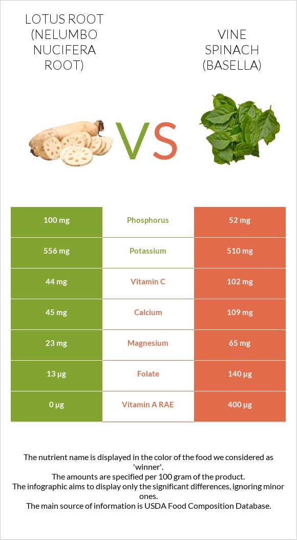 Lotus root vs Vine spinach (basella) infographic