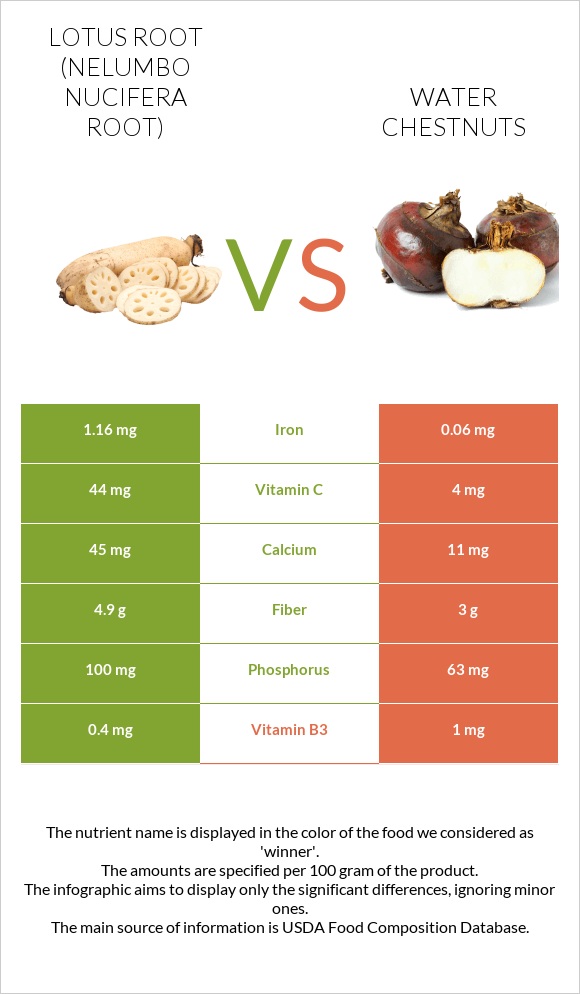 Lotus root vs Water chestnuts infographic