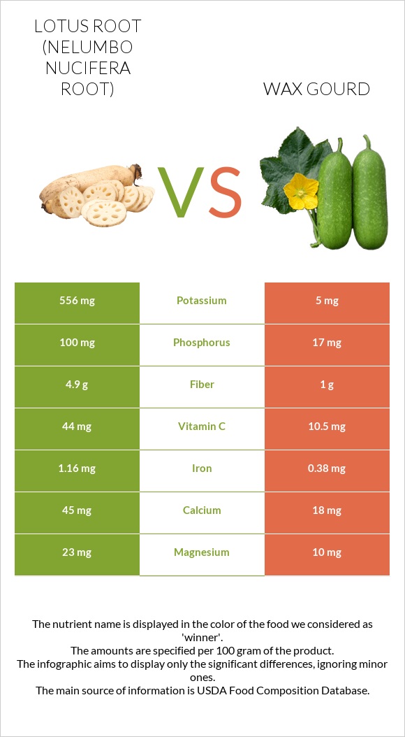 Լոտոս արմատ vs Wax gourd infographic
