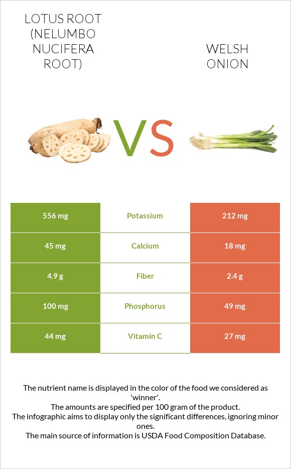 Lotus root vs Welsh onion infographic
