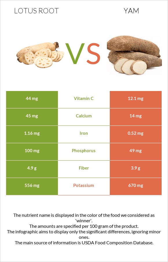 Լոտոս արմատ vs Քաղցր կարտոֆիլ infographic