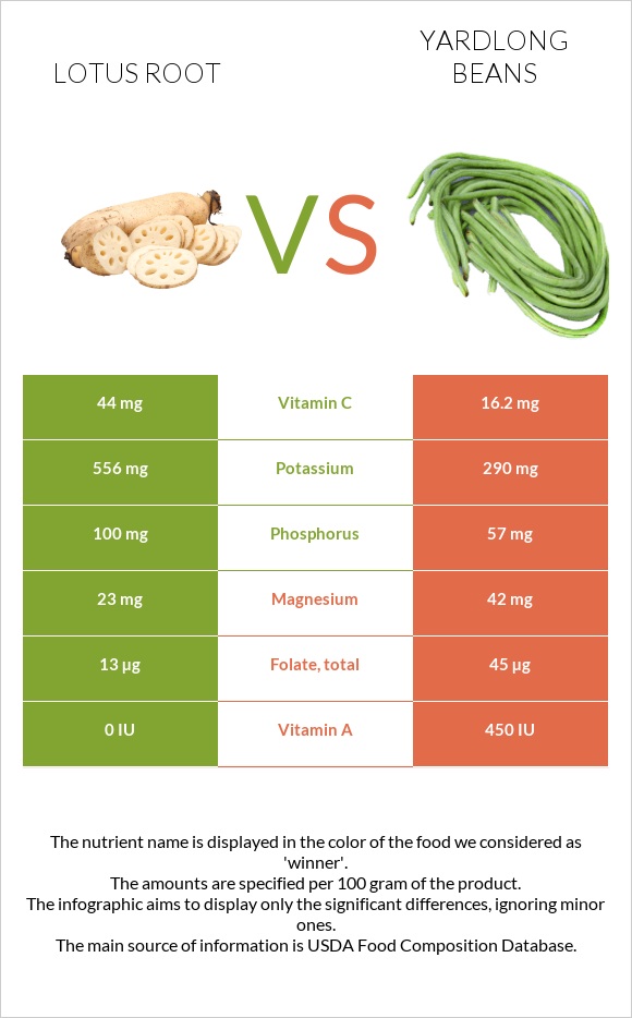 Lotus root vs Yardlong bean (Asparagus bean) infographic