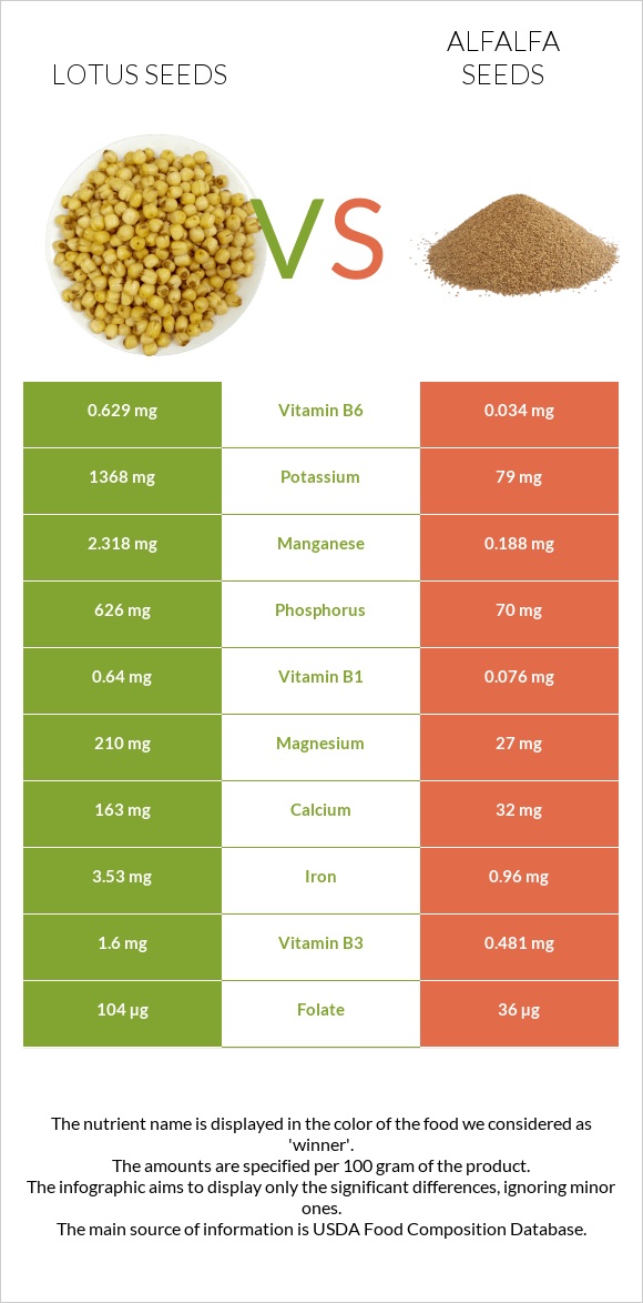 Lotus seeds vs Առվույտի սերմեր infographic