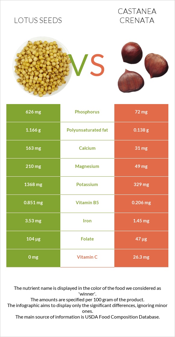 Lotus seeds vs Շագանակ (crenata) infographic