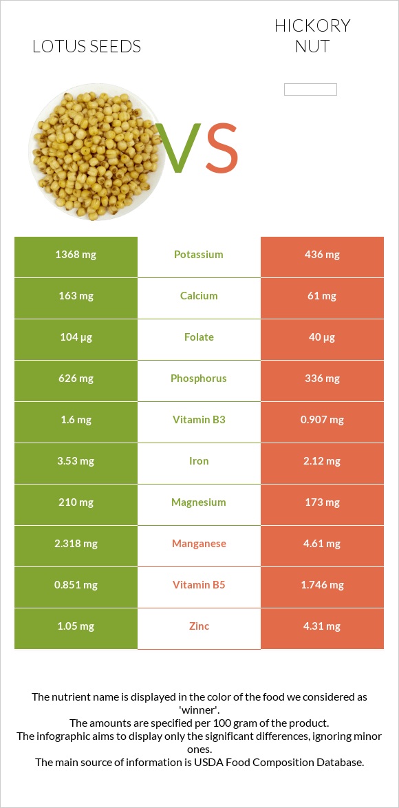 Lotus seeds vs Hickory nut infographic