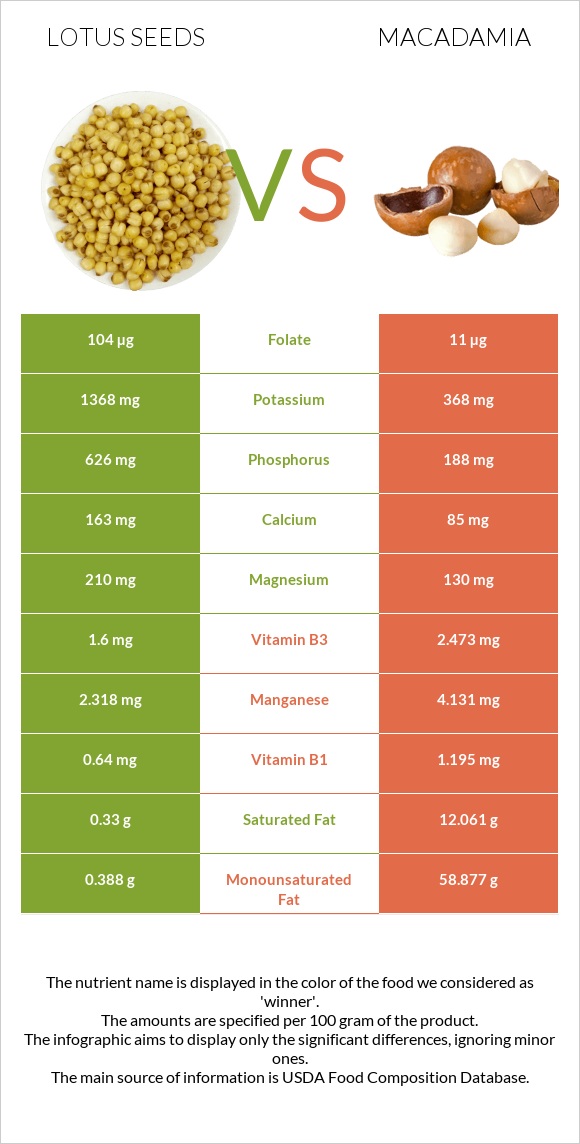 Lotus seeds vs Մակադամիա infographic