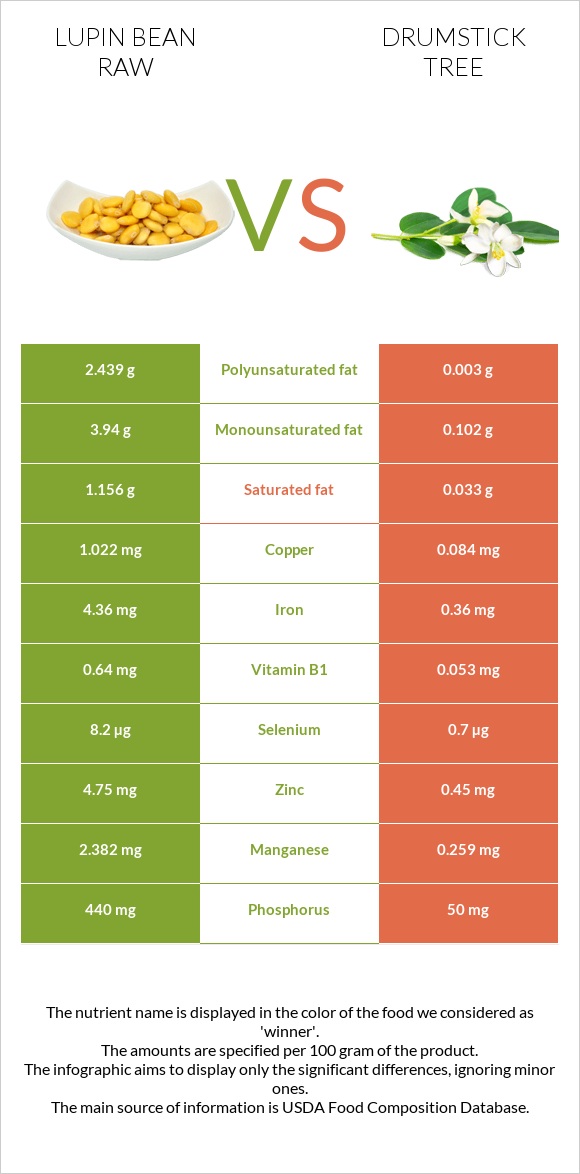 Լոբի լուպին հում vs Drumstick tree infographic