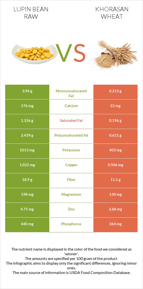 Լոբի լուպին հում vs Խորասան ցորենի infographic