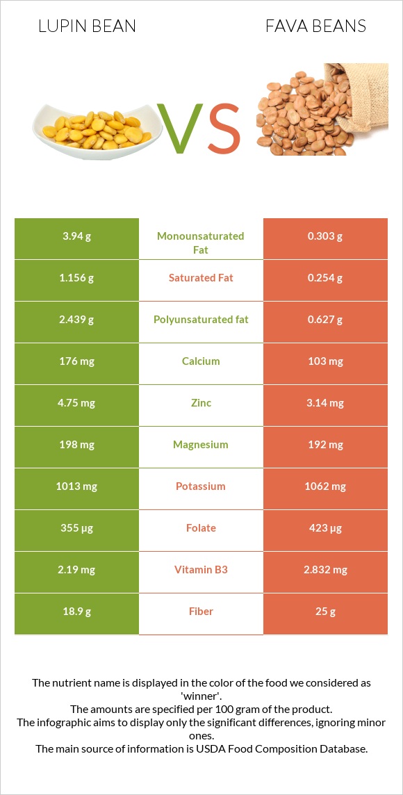 Լոբի լուպին vs Fava beans infographic