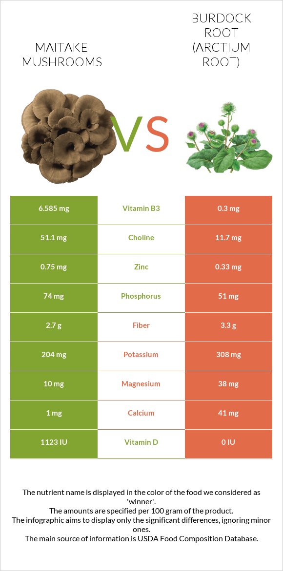 Maitake mushrooms vs Կռատուկի արմատ (արկտի արմատ) infographic