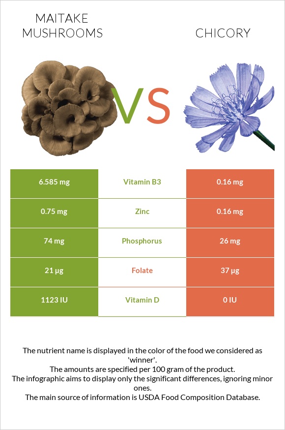 Maitake mushrooms vs Chicory infographic