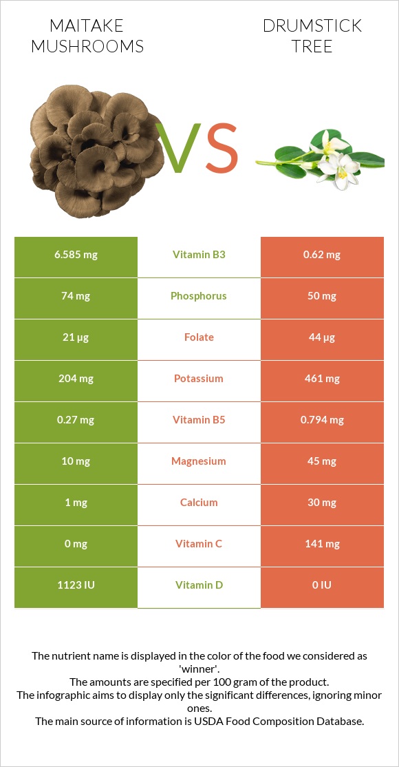 Maitake mushrooms vs Drumstick tree infographic