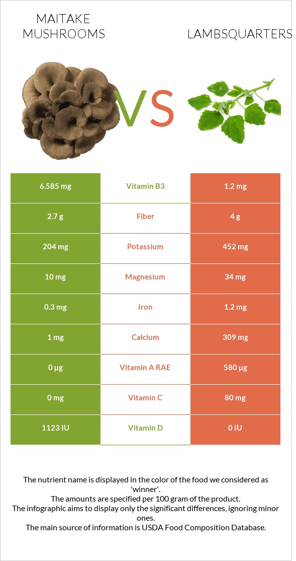Maitake mushrooms vs Lambsquarters infographic