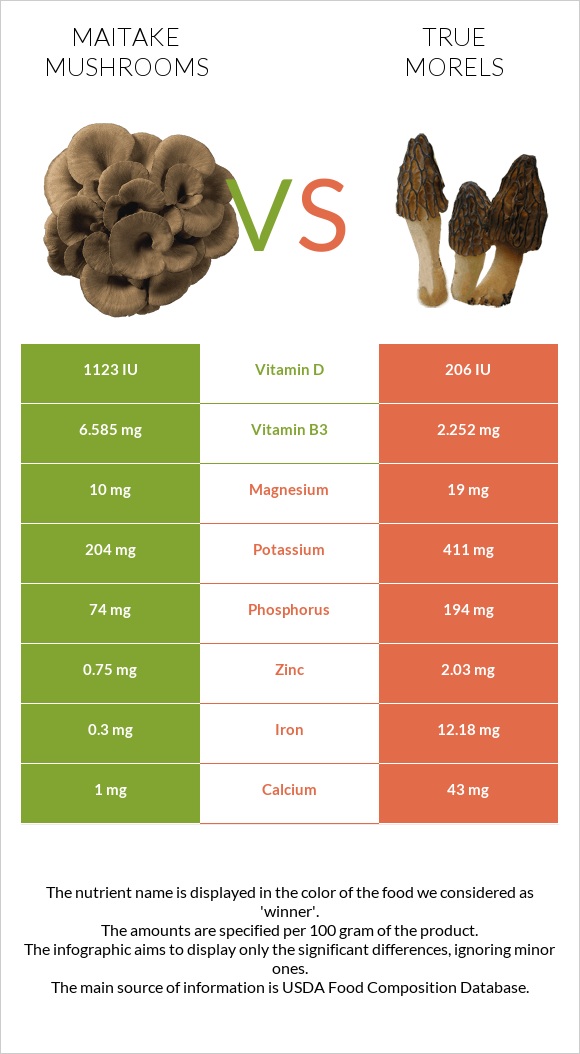 Maitake mushrooms vs True morels infographic