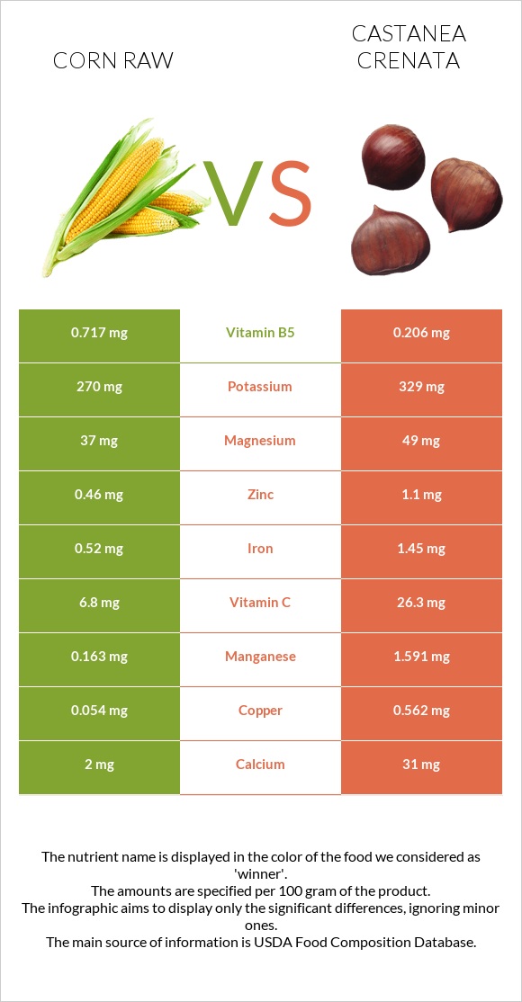 Corn raw vs Castanea crenata infographic