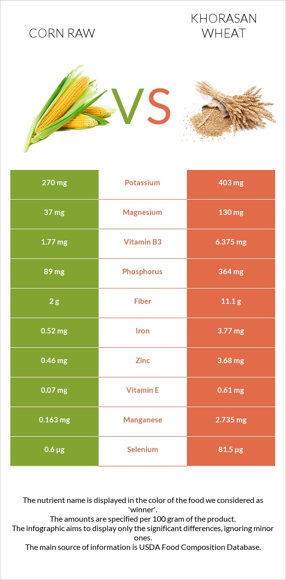 Corn raw vs Khorasan wheat infographic