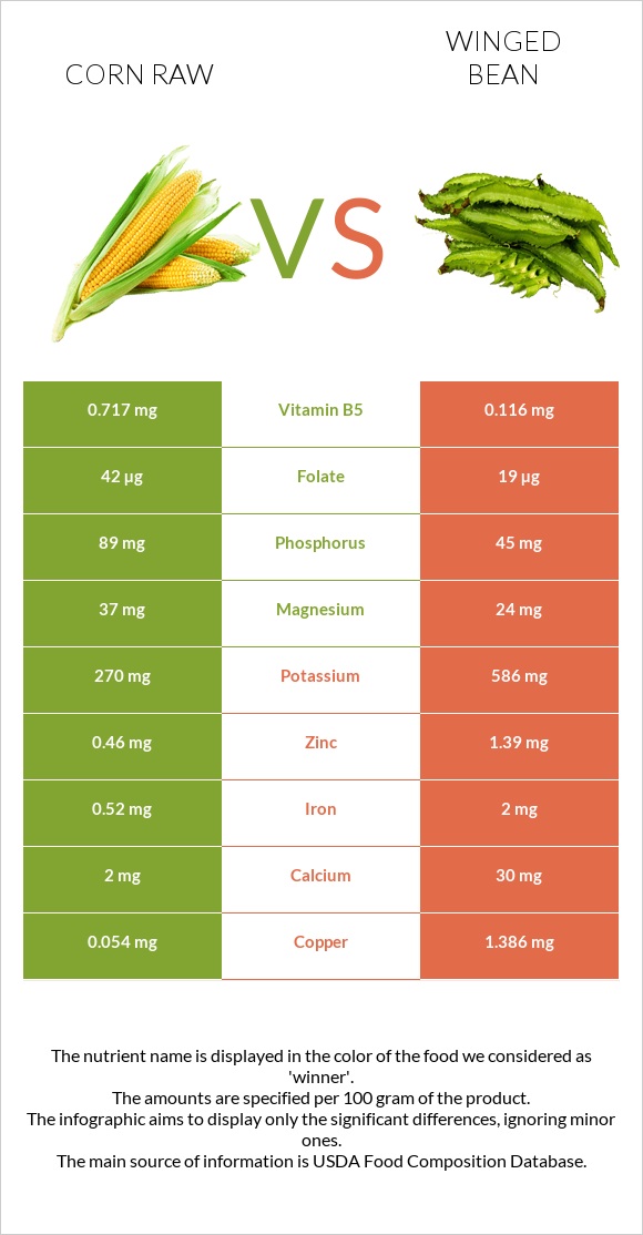Corn raw vs Winged bean infographic