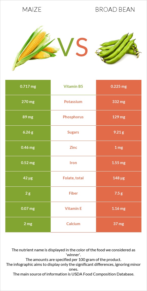 Corn vs Broad bean infographic