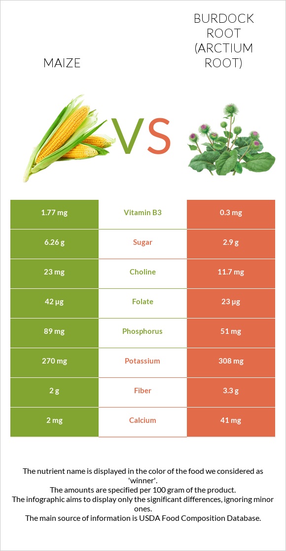 Corn vs Burdock root infographic