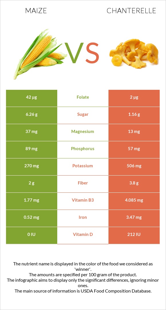 Corn vs Chanterelle infographic