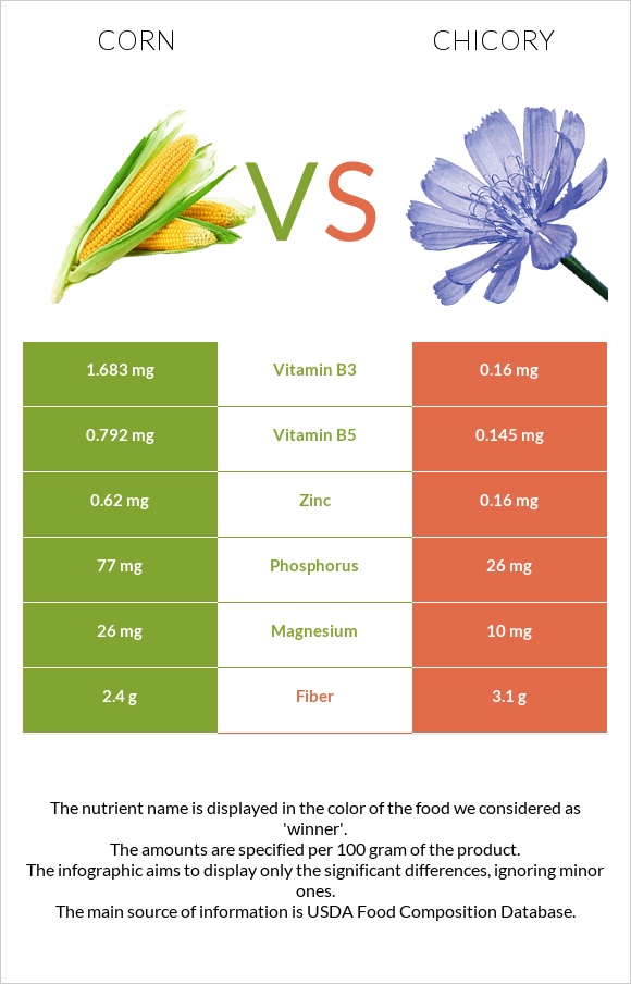 Corn vs Chicory infographic