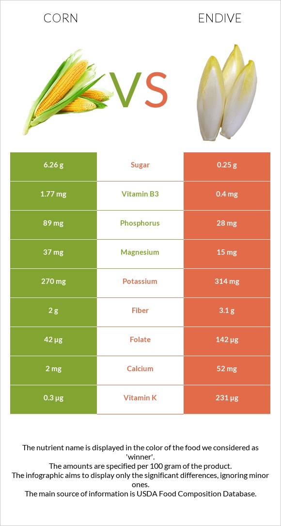 Corn vs Endive infographic