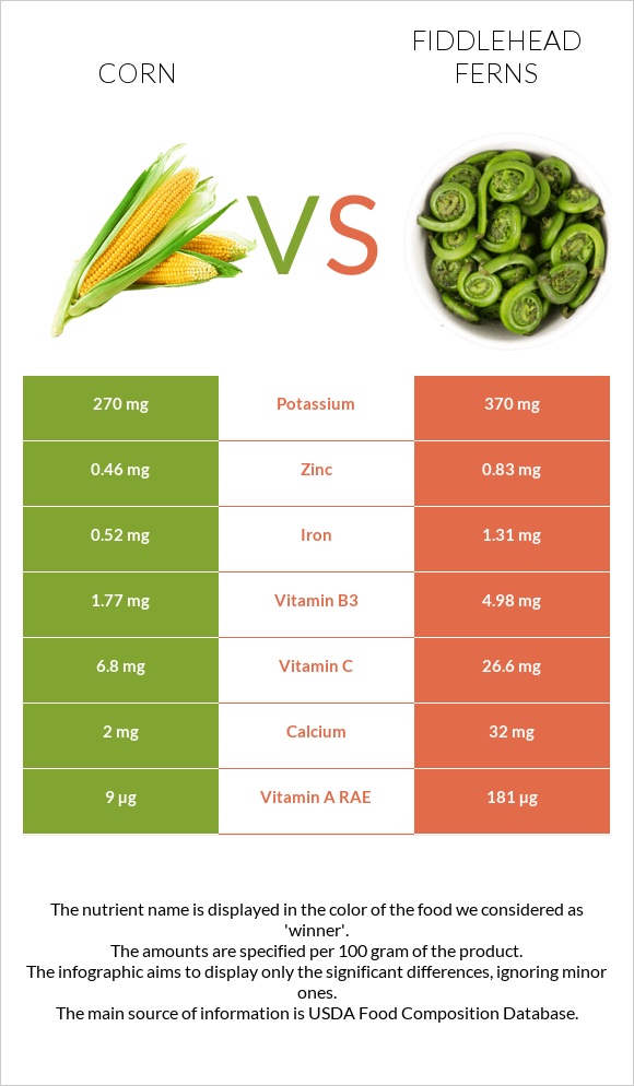 Corn vs Fiddlehead ferns infographic