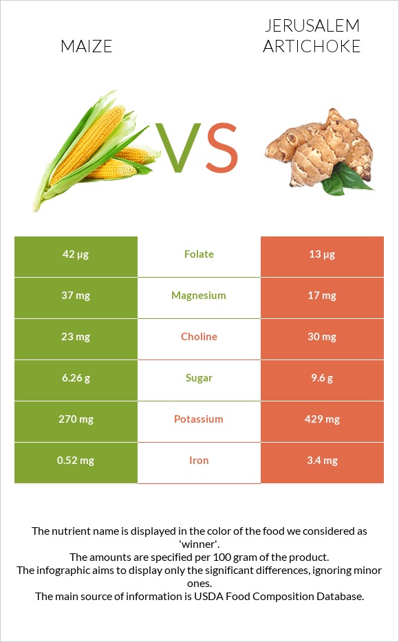 Corn vs Jerusalem artichoke infographic