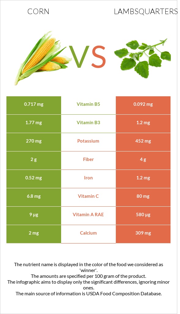 Corn vs Lambsquarters infographic