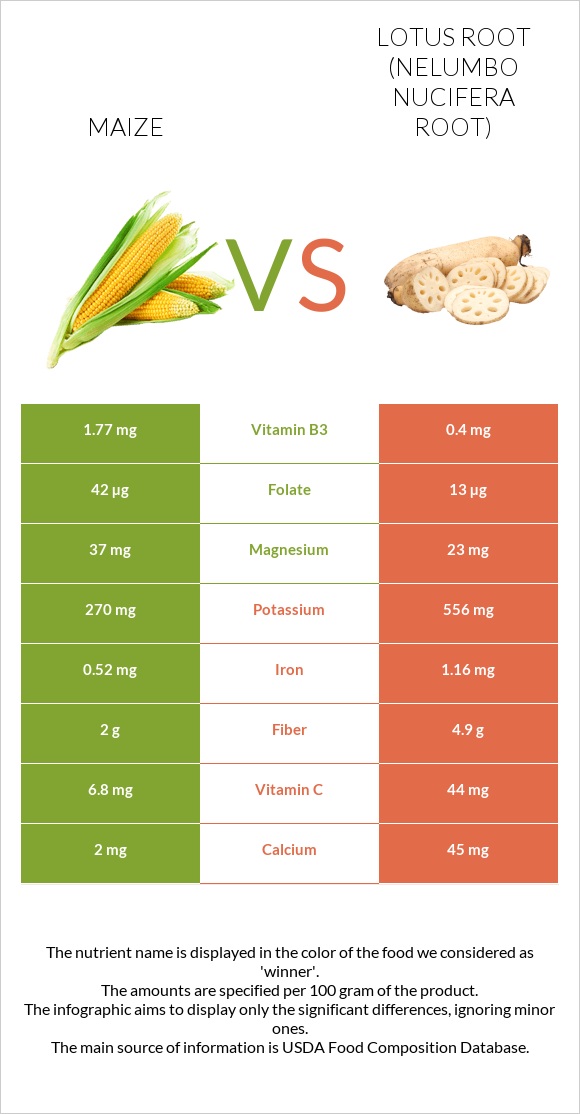 Corn vs Lotus root infographic