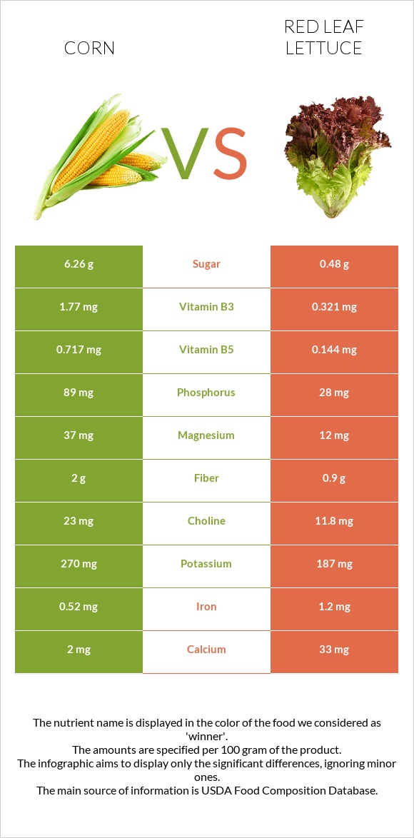 Corn vs Red leaf lettuce infographic