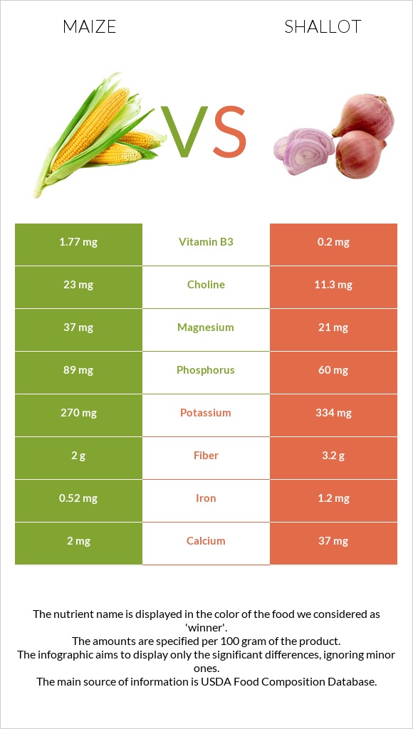 Corn vs Shallot infographic