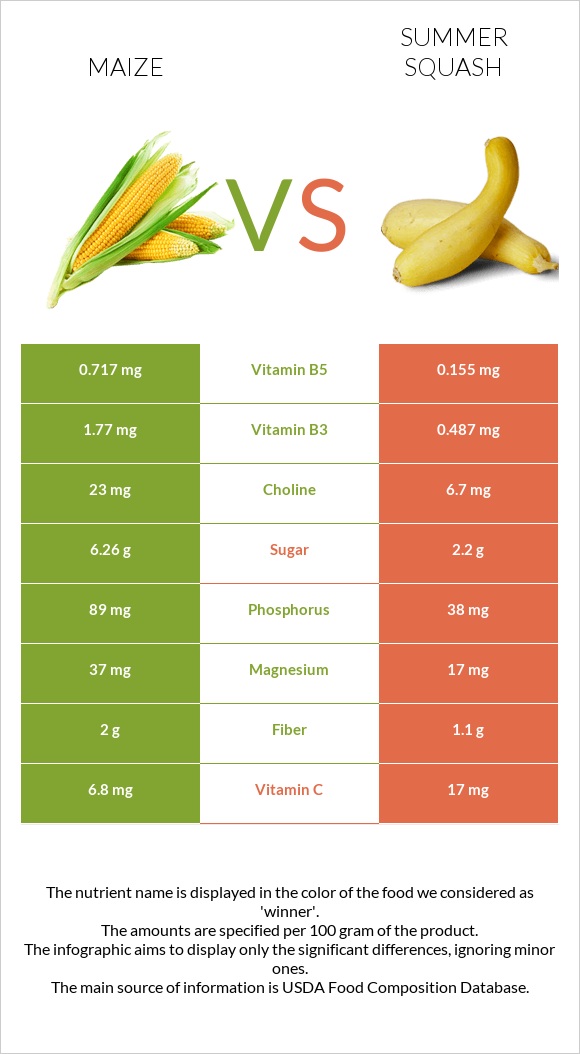 Corn vs Summer squash infographic