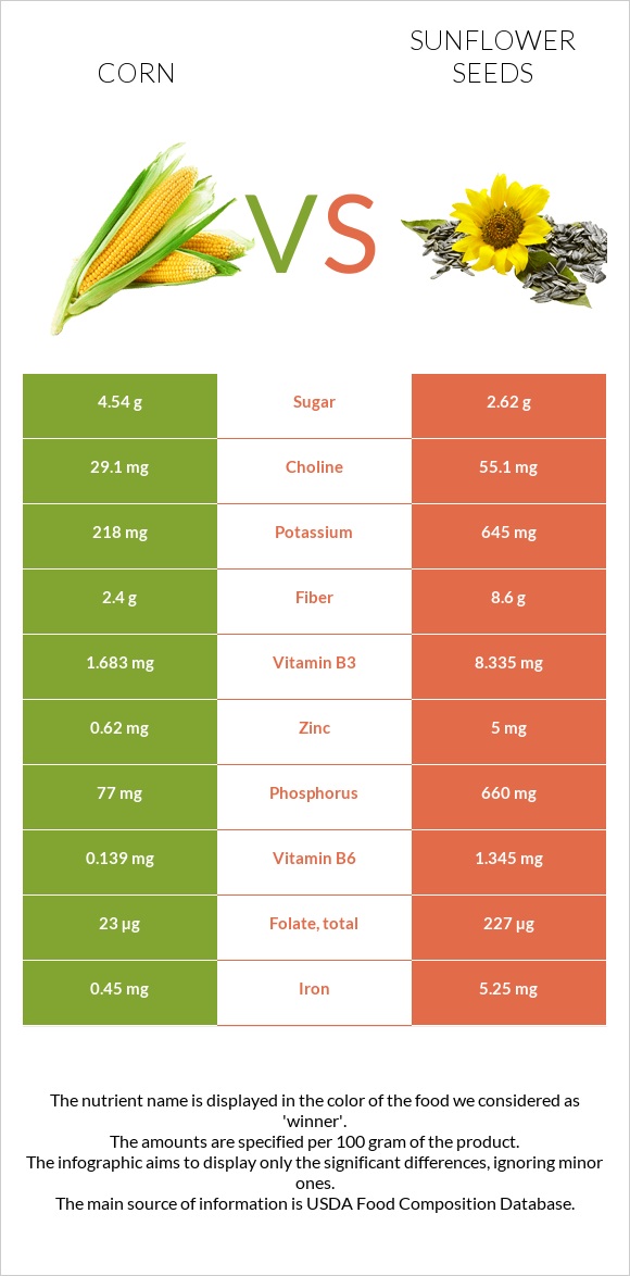 Եգիպտացորեն vs Արևածաղիկի սերմեր infographic